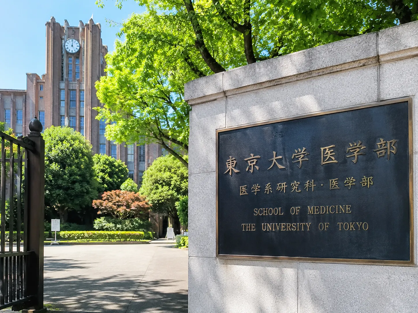 确认日本医生学历、研究生院经历和真实专业背景